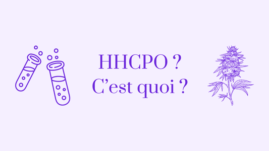Le HHCPO CBD, qu’est-ce que c’est ? Sa fabrication, ses effets, sa légalité et ses avantages