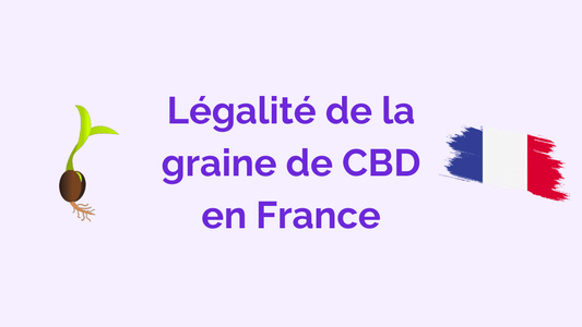 Est-ce légal d'acheter des graines de CBD en France ?