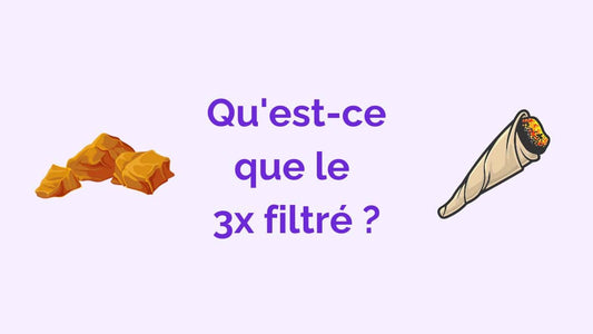 Qu’est-ce que le 3x filtré ? Caractéristiques et effets