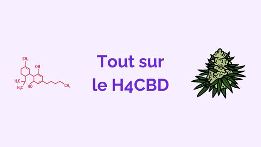 Qu'est-ce que le H4CBD ? Effets, origines et légalisation