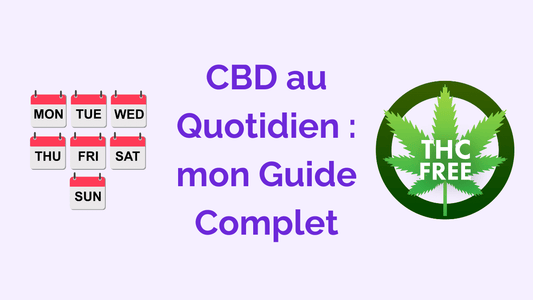 CBD au Quotidien : Risques Potentiels et Bienfaits