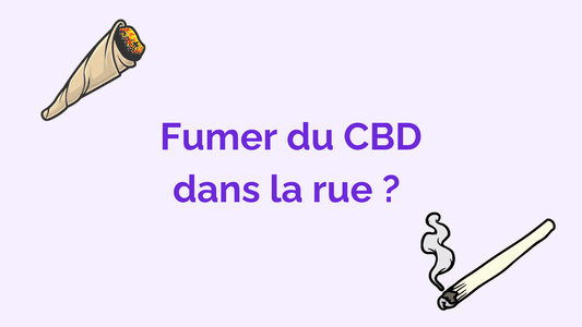 Fumer du CBD en public en France : Est-ce légal de fumer dans la rue ?