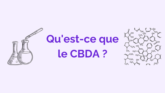 Qu’est-ce que le CBDA ? Ses interactions avec notre corps, ses bienfaits et ses différences avec le CBD.