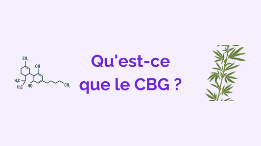 Qu'est-ce que le CBG (Cannabigérol) ? Légalité, effets, différences avec le CBD