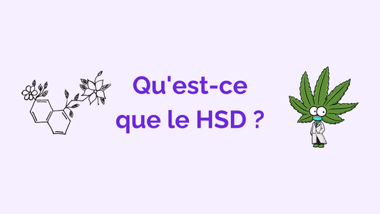 Qu’est-ce que le HSD CBD ? Légalité, Effets & Fabrication