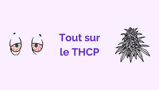 Qu'est-ce que le THCP ? – Puissance, Effets et Législation Expliqués