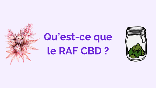 Qu’est-ce que le RAF CBD : sa fabrication, ses effets, ses avantages, où en trouver ?