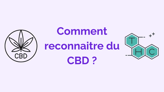 Reconnaître du CBD : quelles différences dans le cas de la résine et de la beuh ?