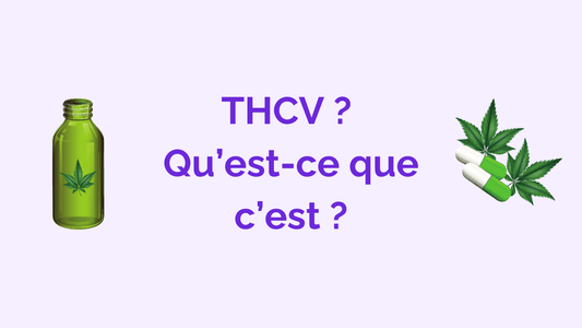 Tout savoir sur le THCV : sa fabrication, ses effets, sa légalité, comment le consommer et où l’acheter