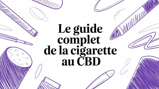 Le guide complet de la cigarette au cbd