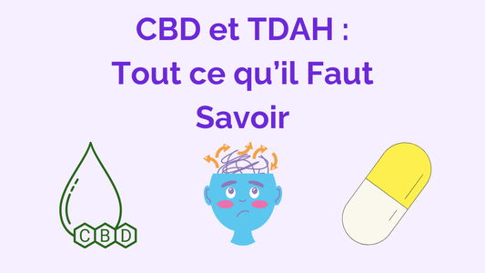 CBD et TDAH : Possibilité Thérapeutique sur la Concentration