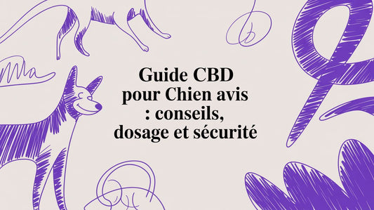 Guide cbd pour chien avis : conseils, dosage et sécurité