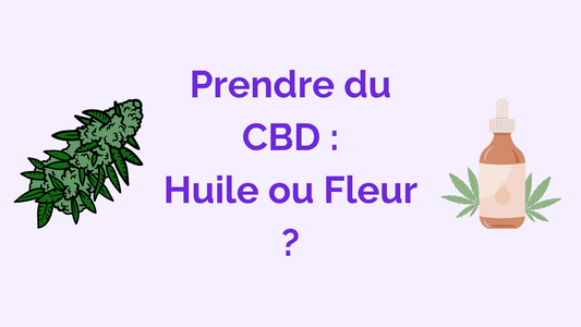 Fleur CBD ou Huile CBD : sous Quelle Forme Consommer ?