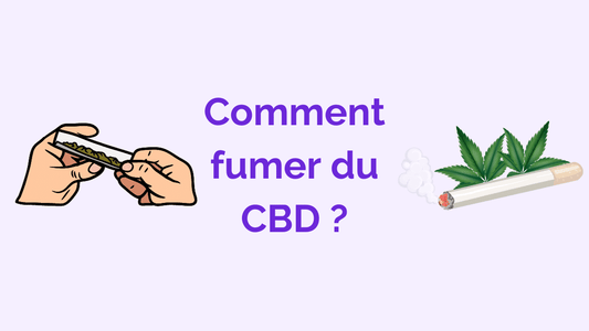 Comment fumer du CBD : mon guide complet pour en profiter pleinement