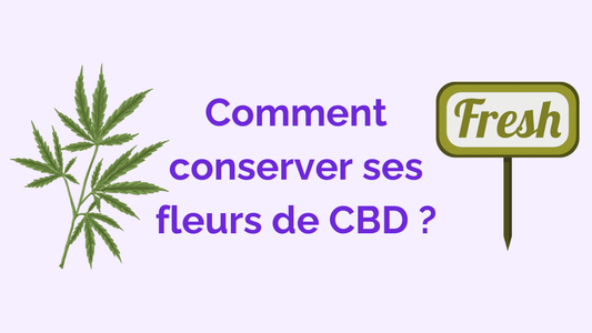 Conserver ses Fleurs de CBD : mes astuces et conseils