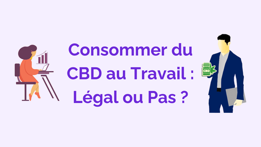 Le CBD au Travail : Légalité, Bienfaits et Utilisation
