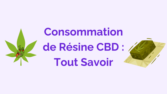Comment consommer de la Résine CBD : Guide Complet 2025