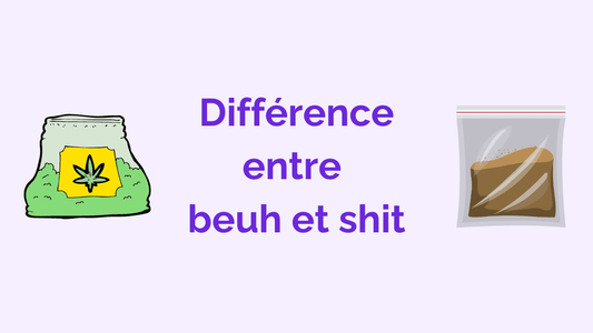 Shit et beuh : définitions et différences