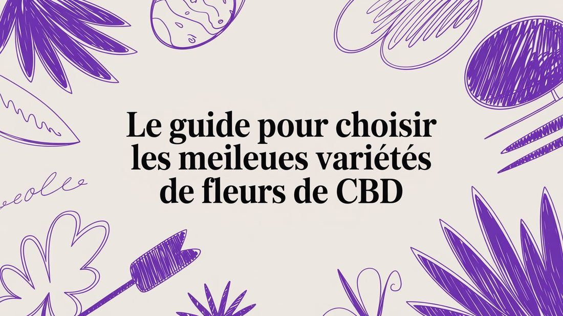 Le guide pour choisir les meilleures variétés de fleurs de CBD