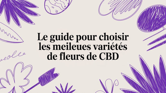 Le guide pour choisir les meilleures variétés de fleurs de CBD