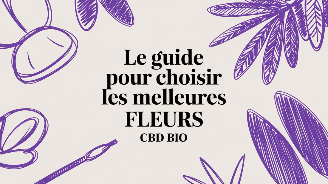 Le guide pour choisir les meilleures fleurs cbd bio