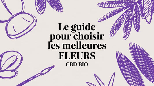 Le guide pour choisir les meilleures fleurs cbd bio