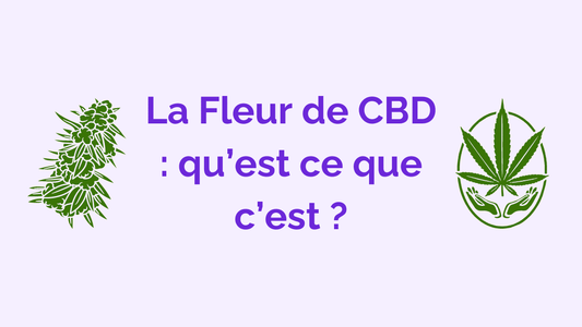 Fleur de CBD : Définition, Bienfaits et Variétés