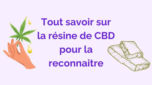 Reconnaitre la résine CBD : Tout ce qu’il faut savoir