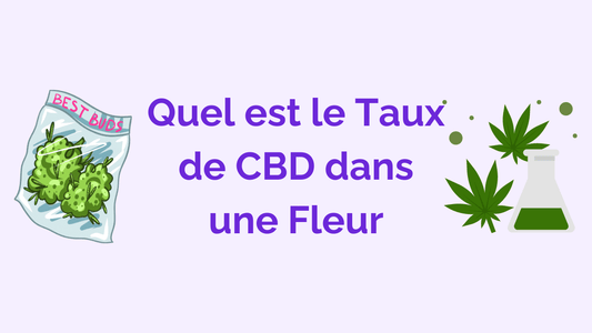 Le Taux de CBD des Fleurs : mon Guide Complet
