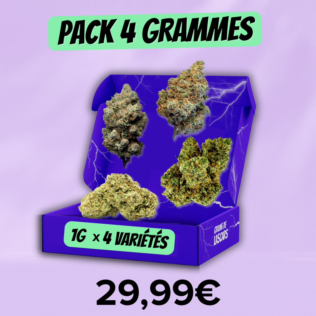 Pack découverte fleur