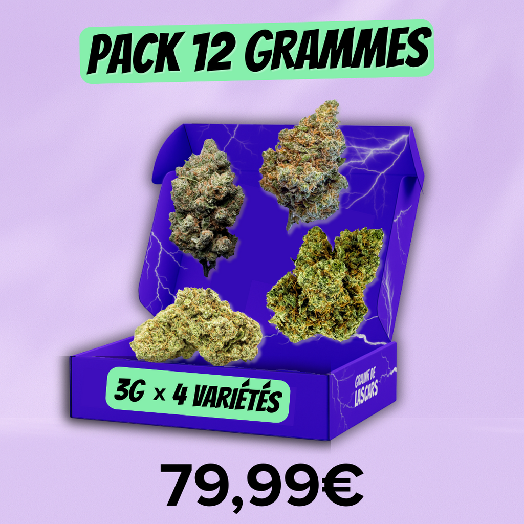 Pack Découverte fleur