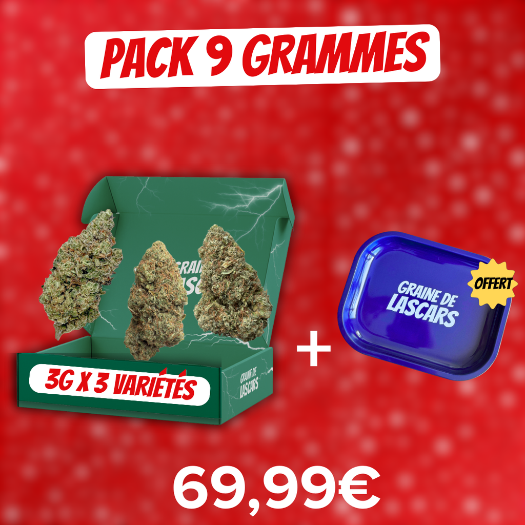 Pack de Noël