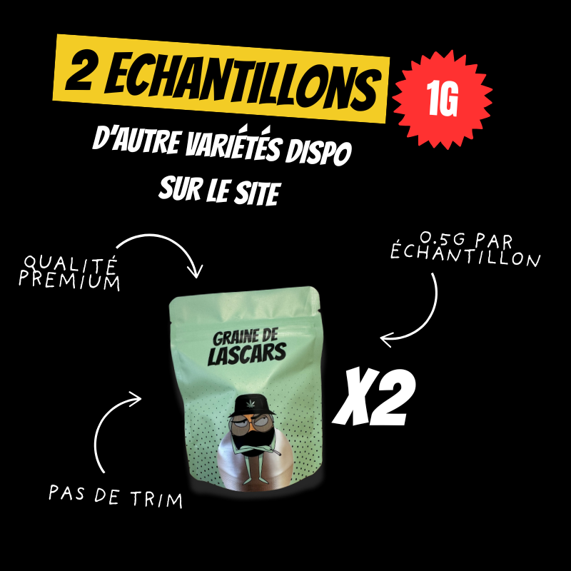 Pack Découverte