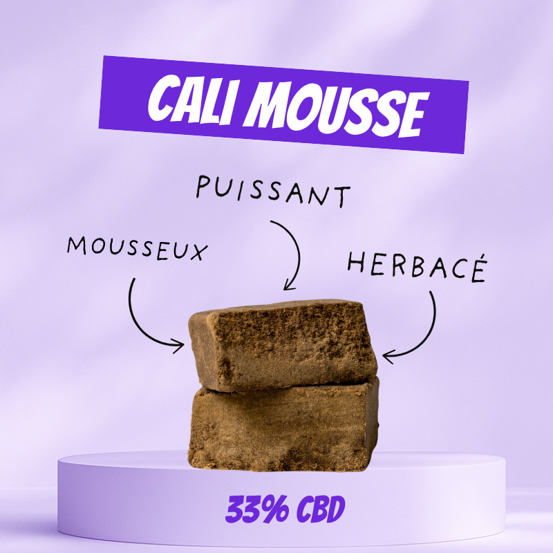 Pack Découverte Résine
