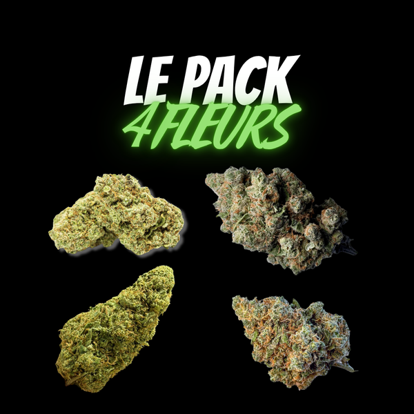 Pack 4 Fleurs