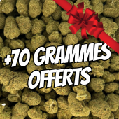 Small Bud Premium