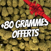 Small Bud Premium