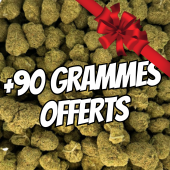 Small Bud Premium