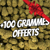 Small Bud Premium