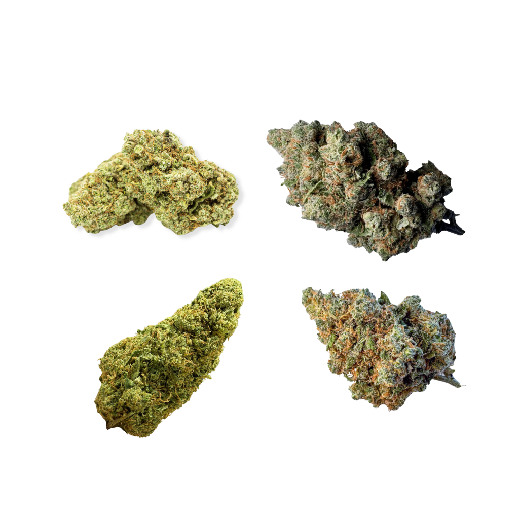 Pack 4 Fleurs