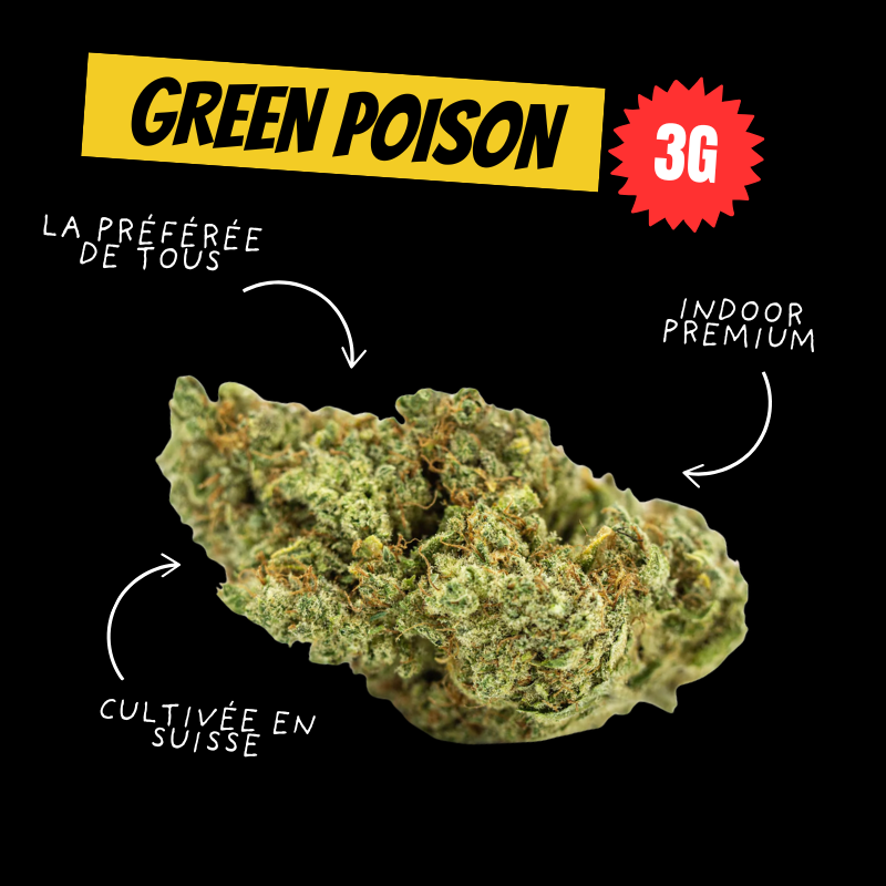 Pack Découverte