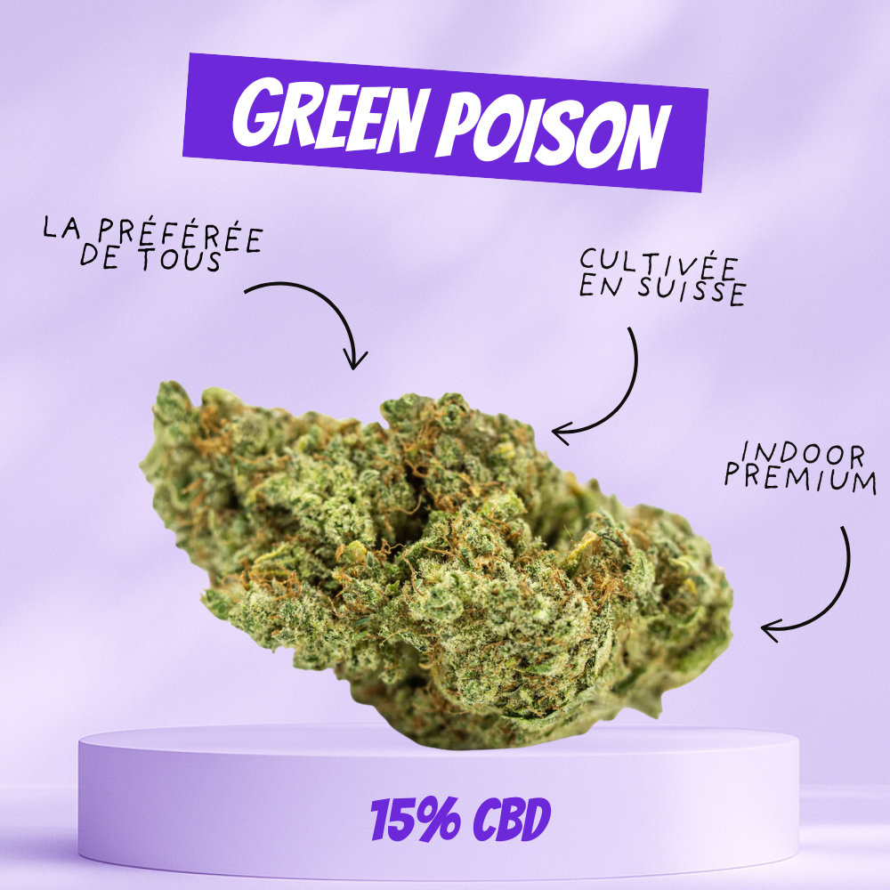 Pack découverte fleur