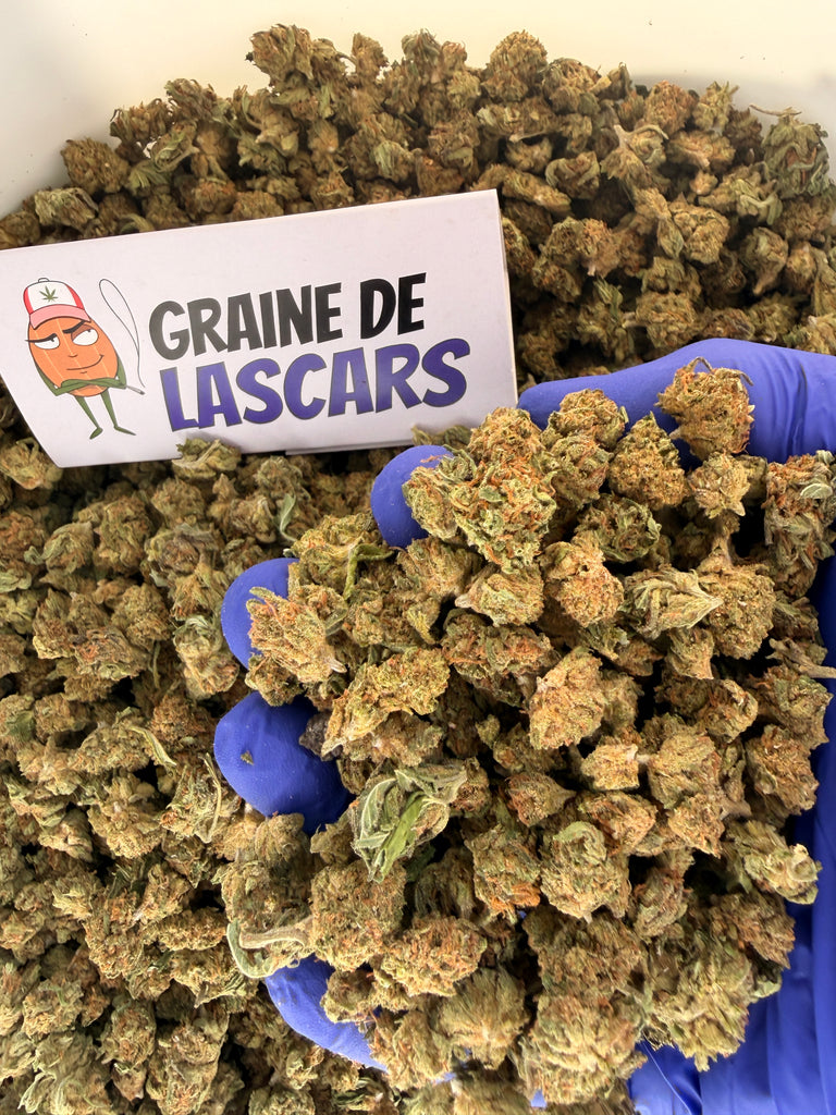 Produit cadeau