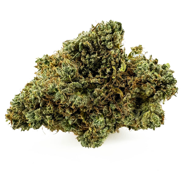 Critical Haze
