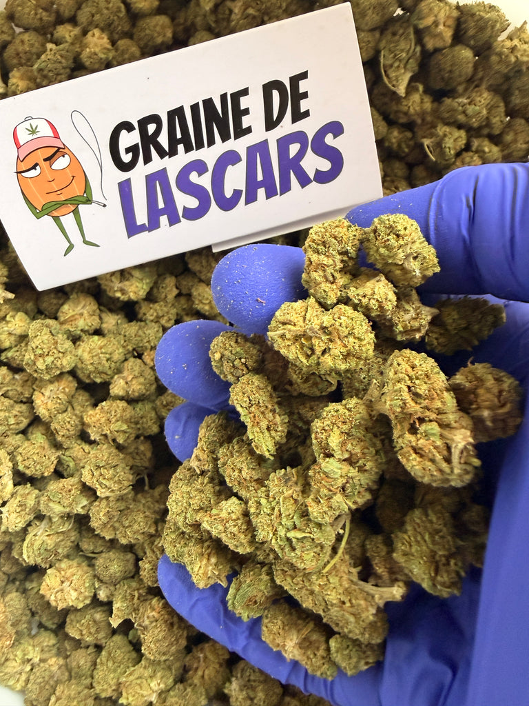 Produit cadeau