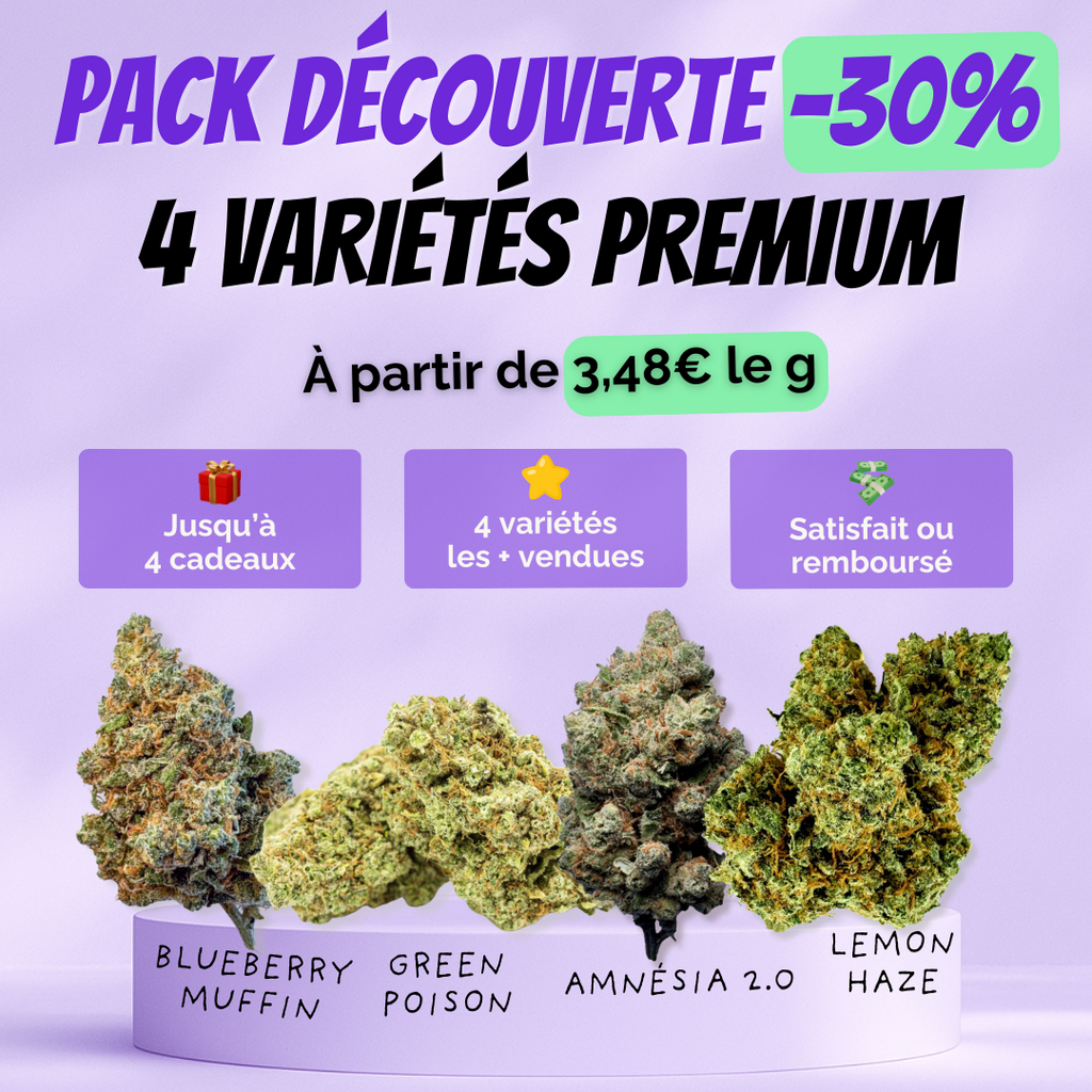 Pack Découverte fleur