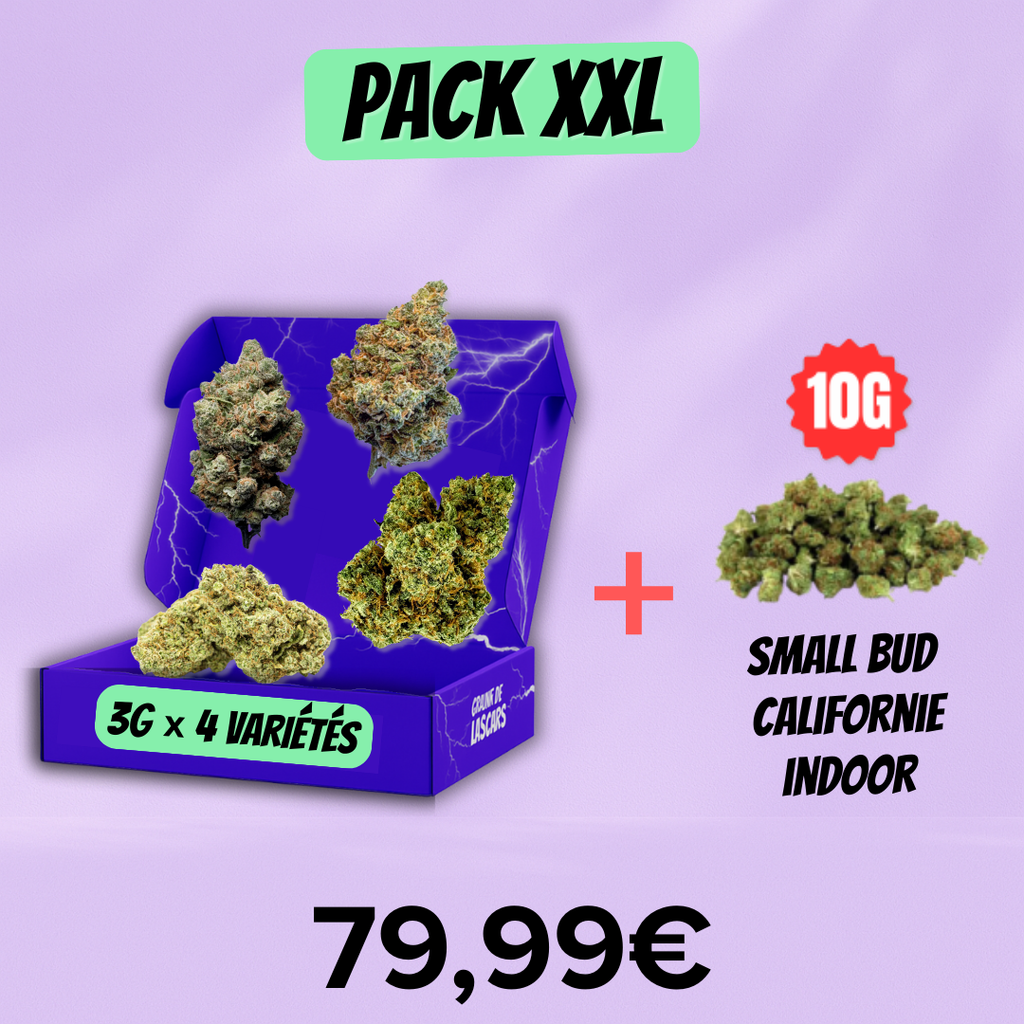 Pack découverte fleur