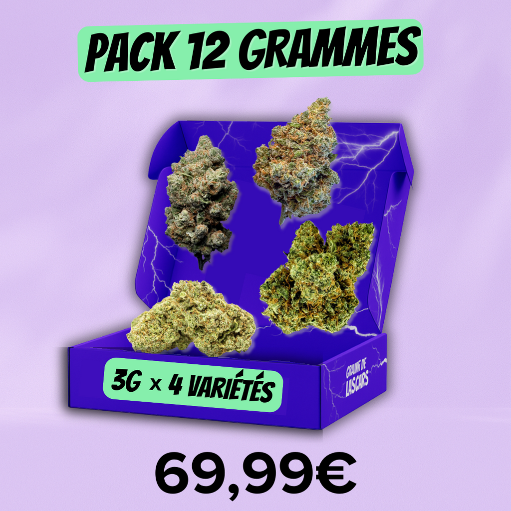 Pack découverte fleur