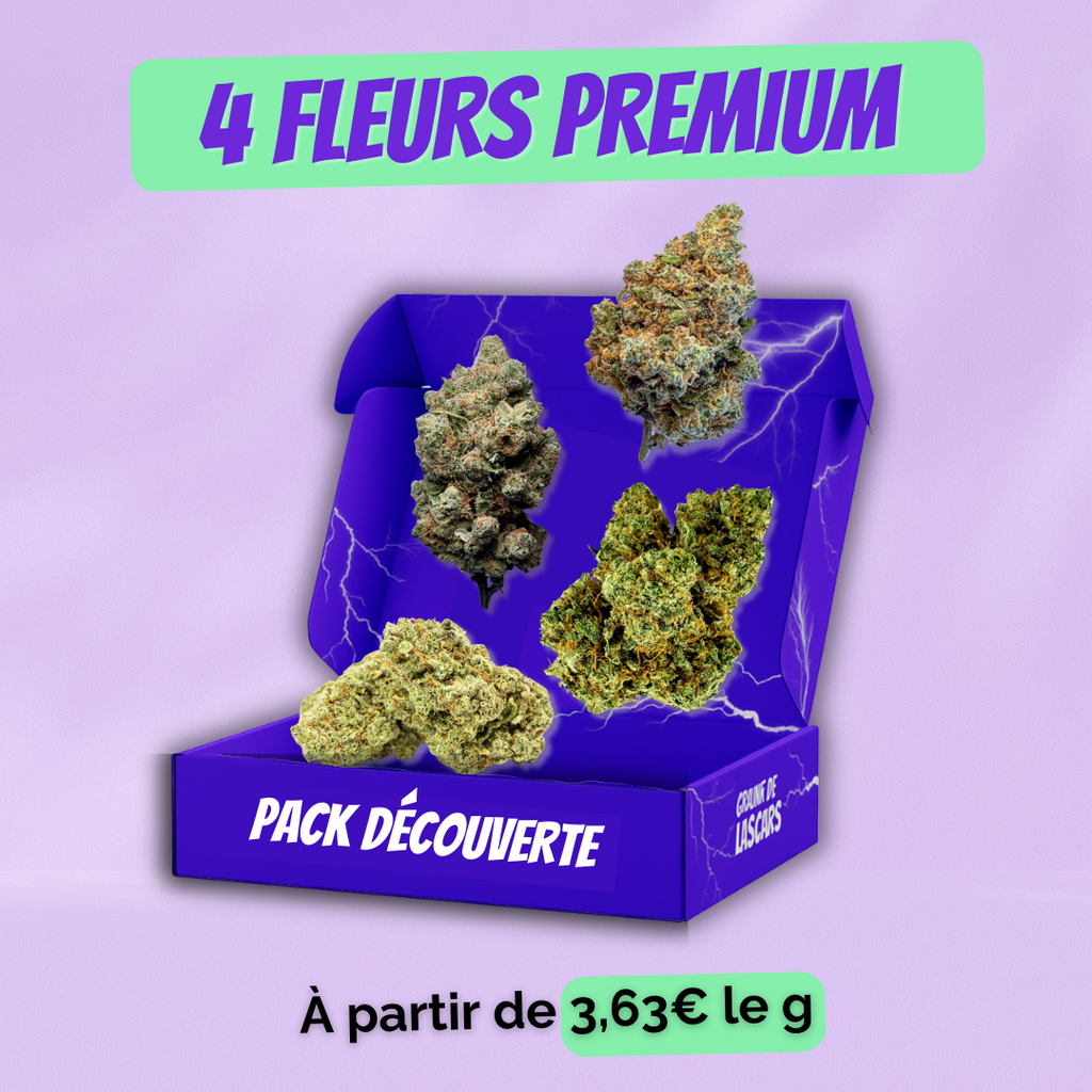 Pack découverte fleur