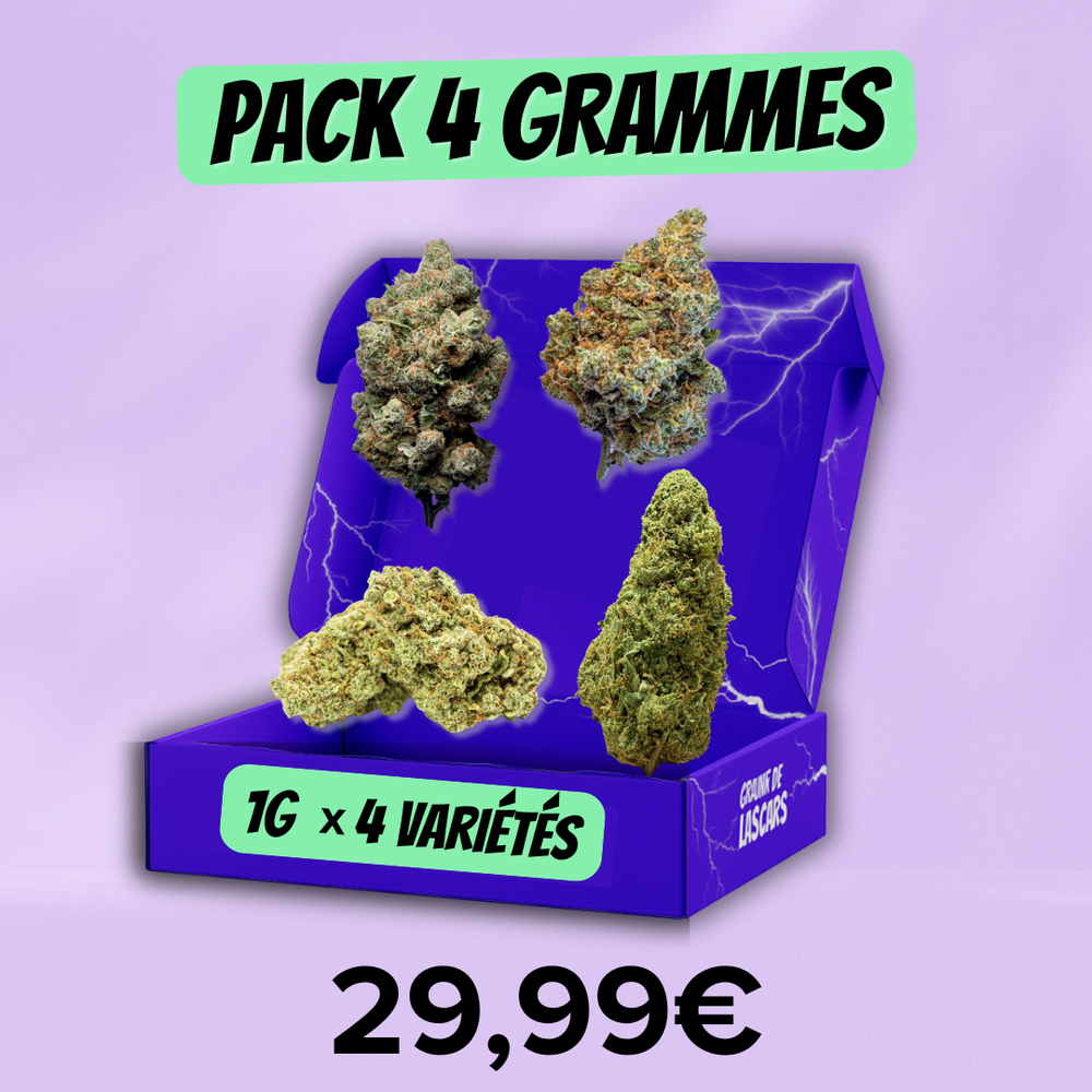 Pack Découverte Fleur